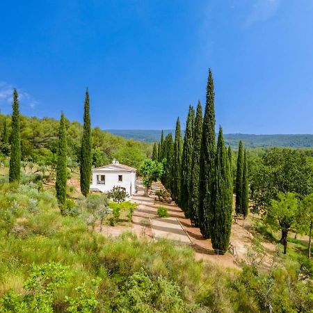 Flayosc Le Clos Celine المظهر الخارجي الصورة